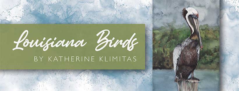 Louisiana Birds Exhibit Banner