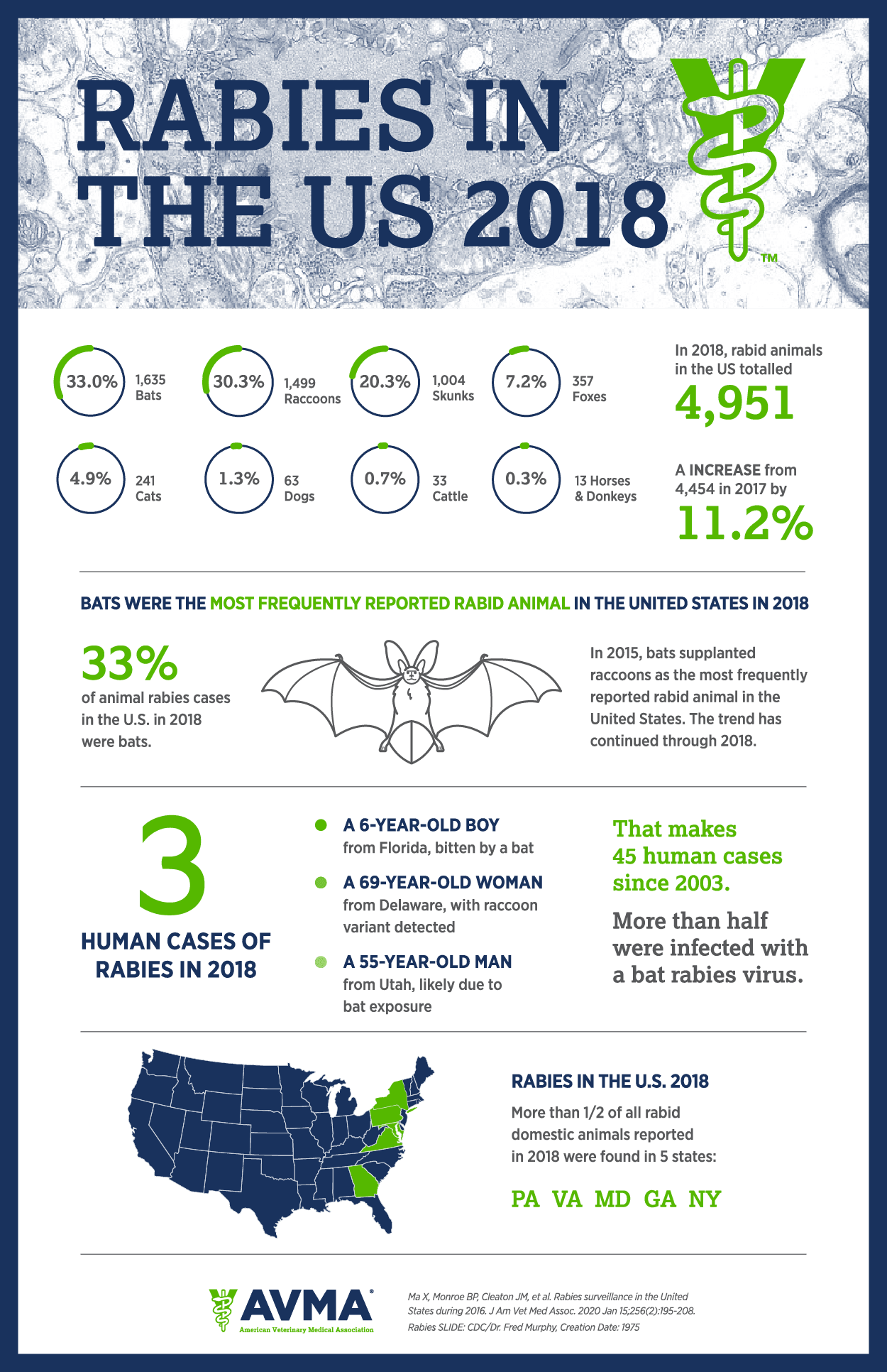 Rabies Infographic 2018